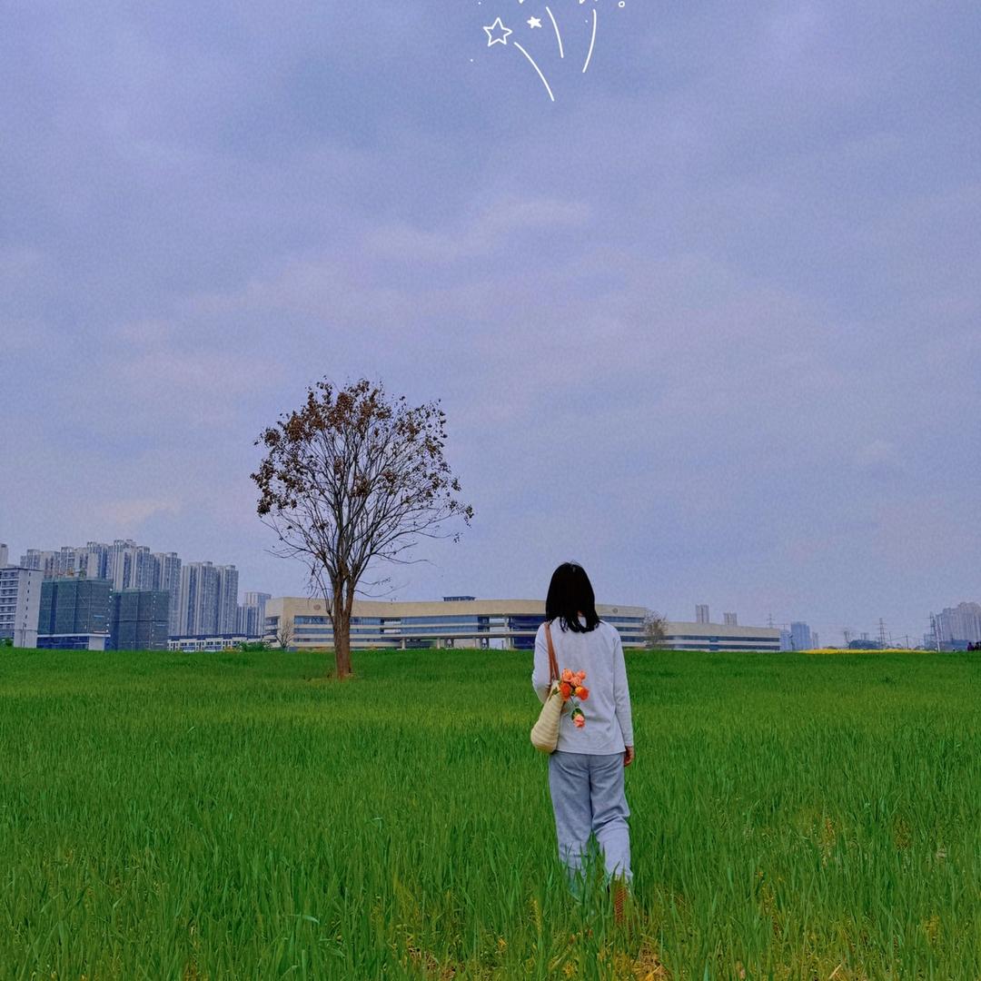 2棉