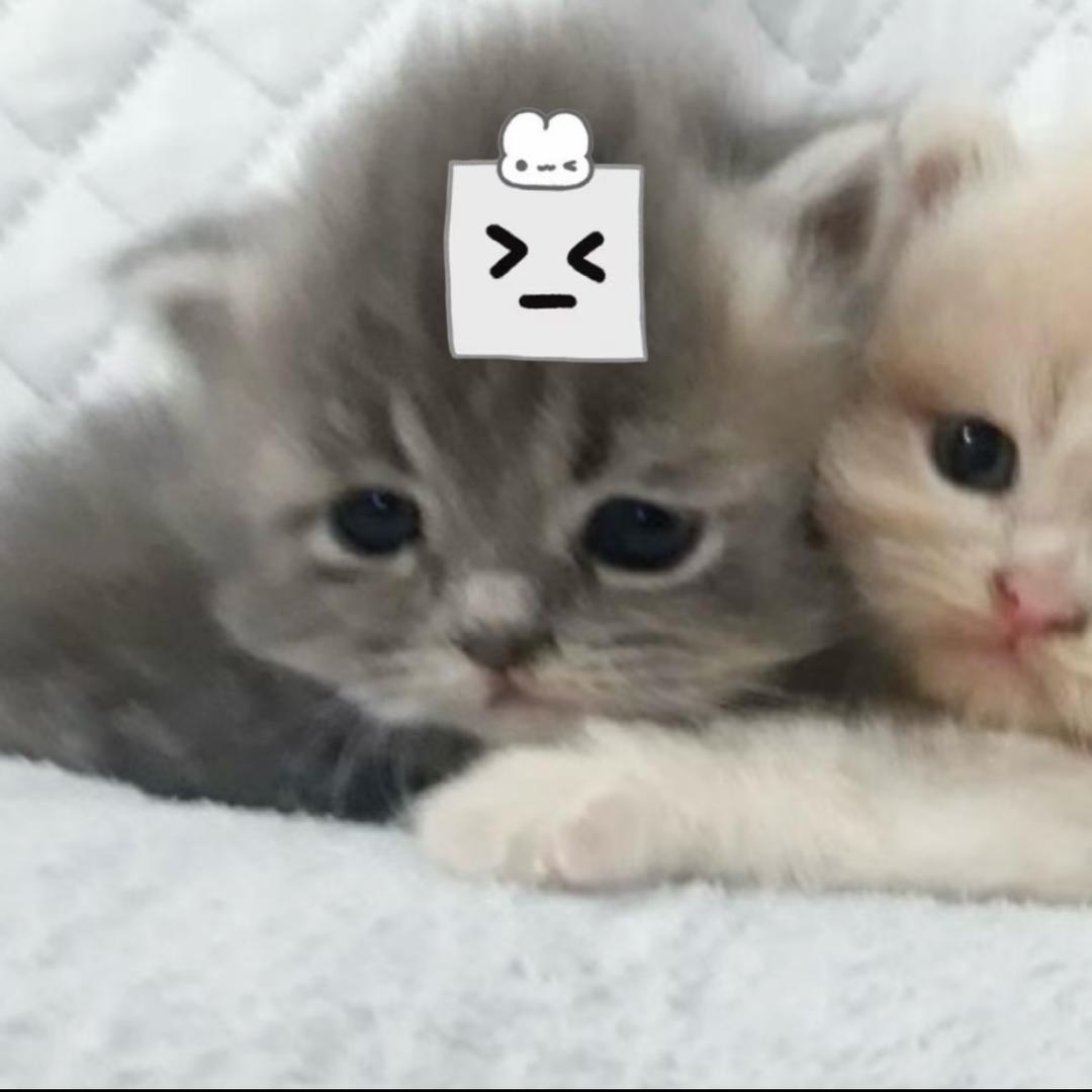 二婚丈夫是同