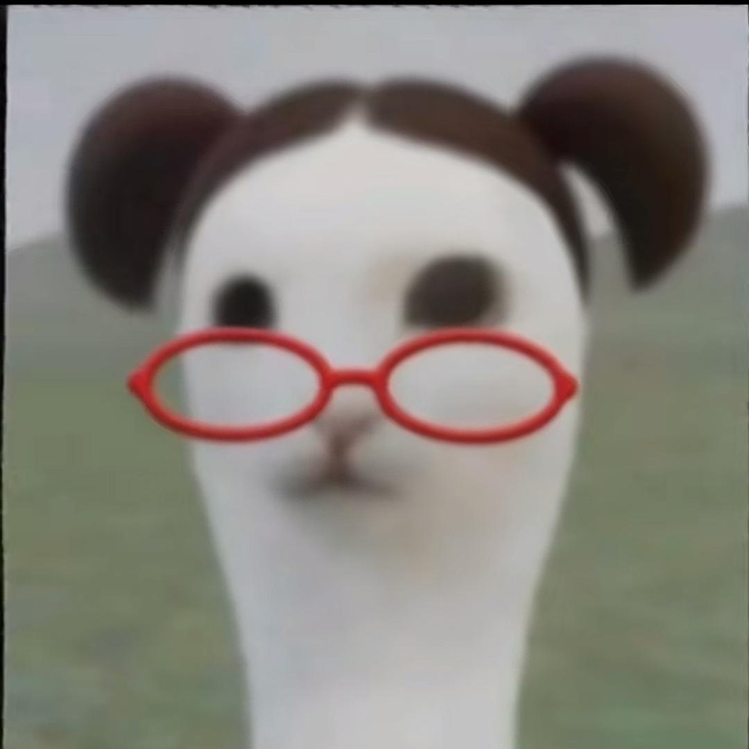 纽轱辘·七亿少男的梦