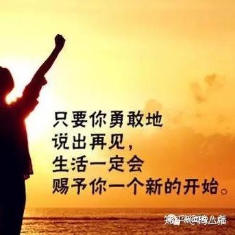 肉与铁的旅途