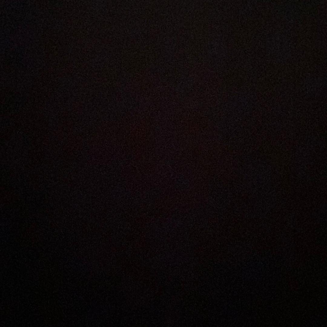 菩提本无树