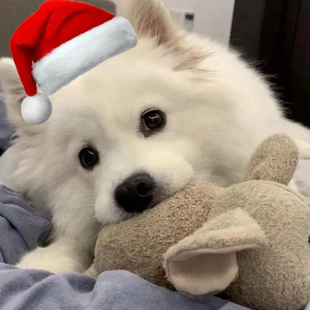 离别名为茉莉雨