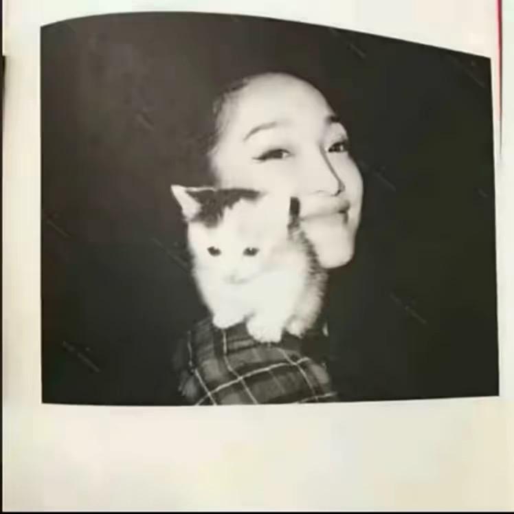 杨北北
