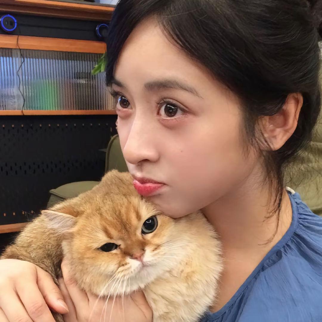 邪恶拉面馆