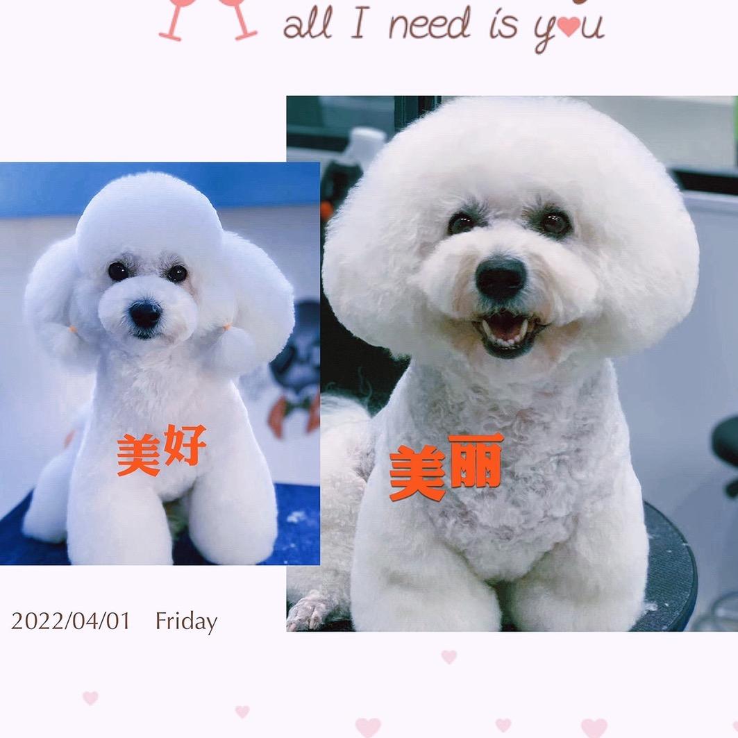 好&美丽