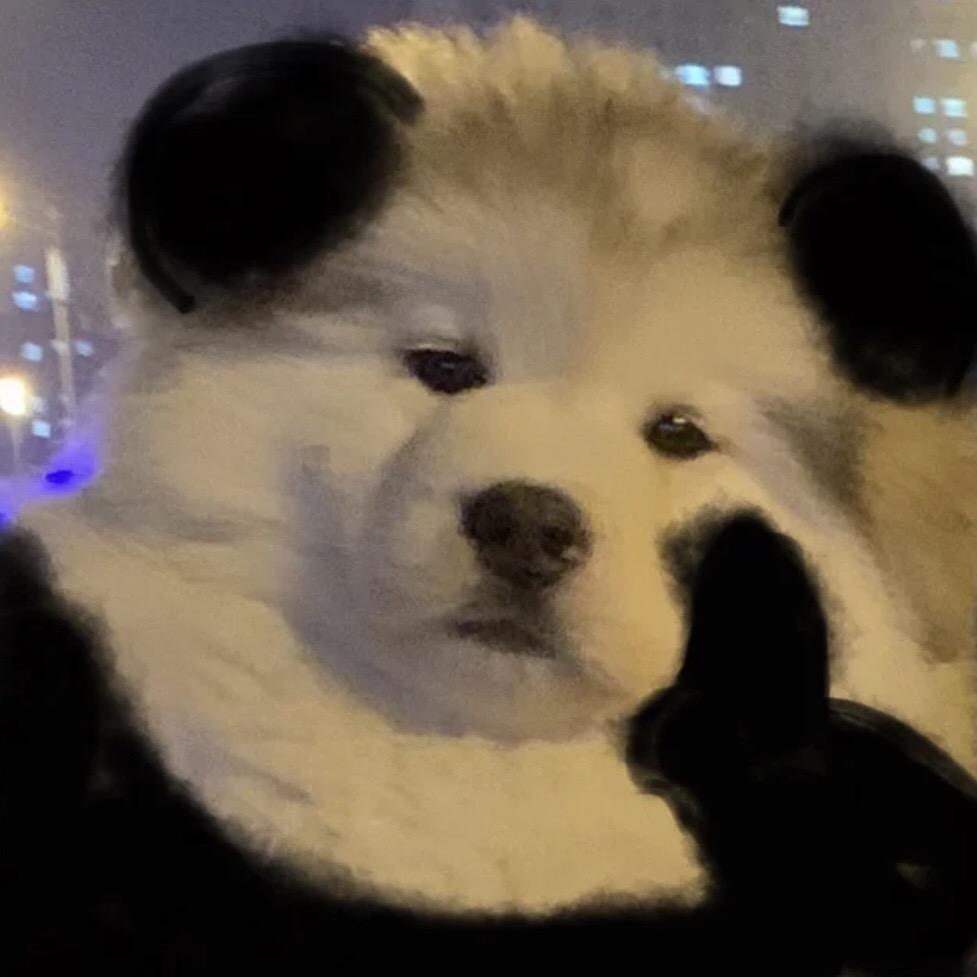 贪玩小熊猫
