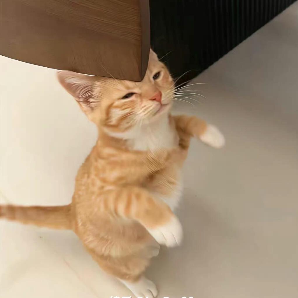 我直接就是一把糯米