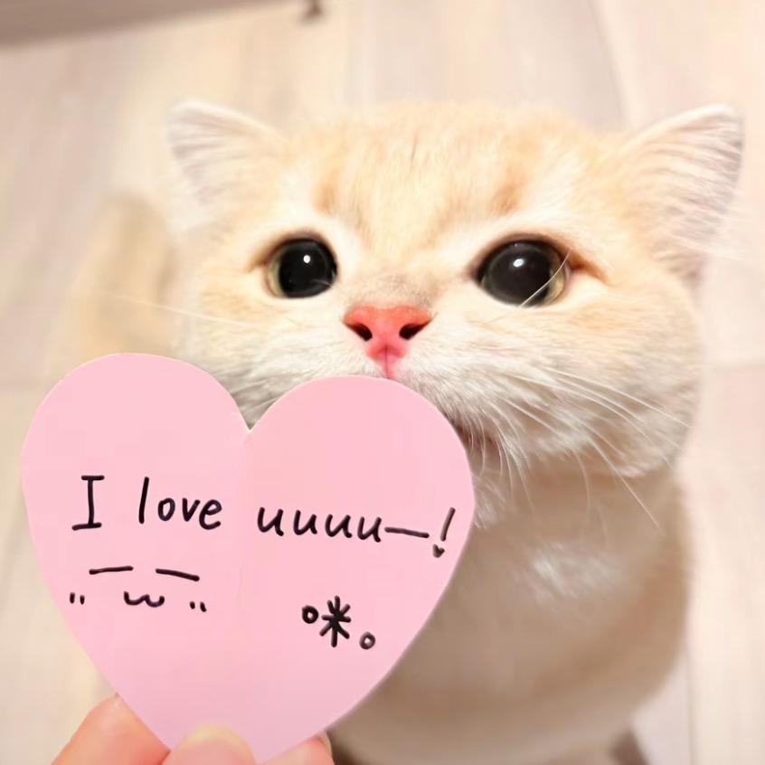 伤害人类的事情我都干