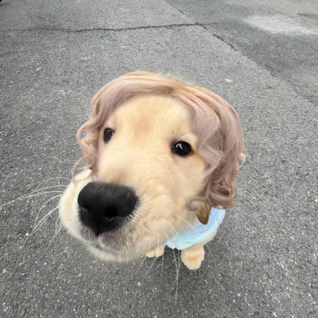 Joeewang__