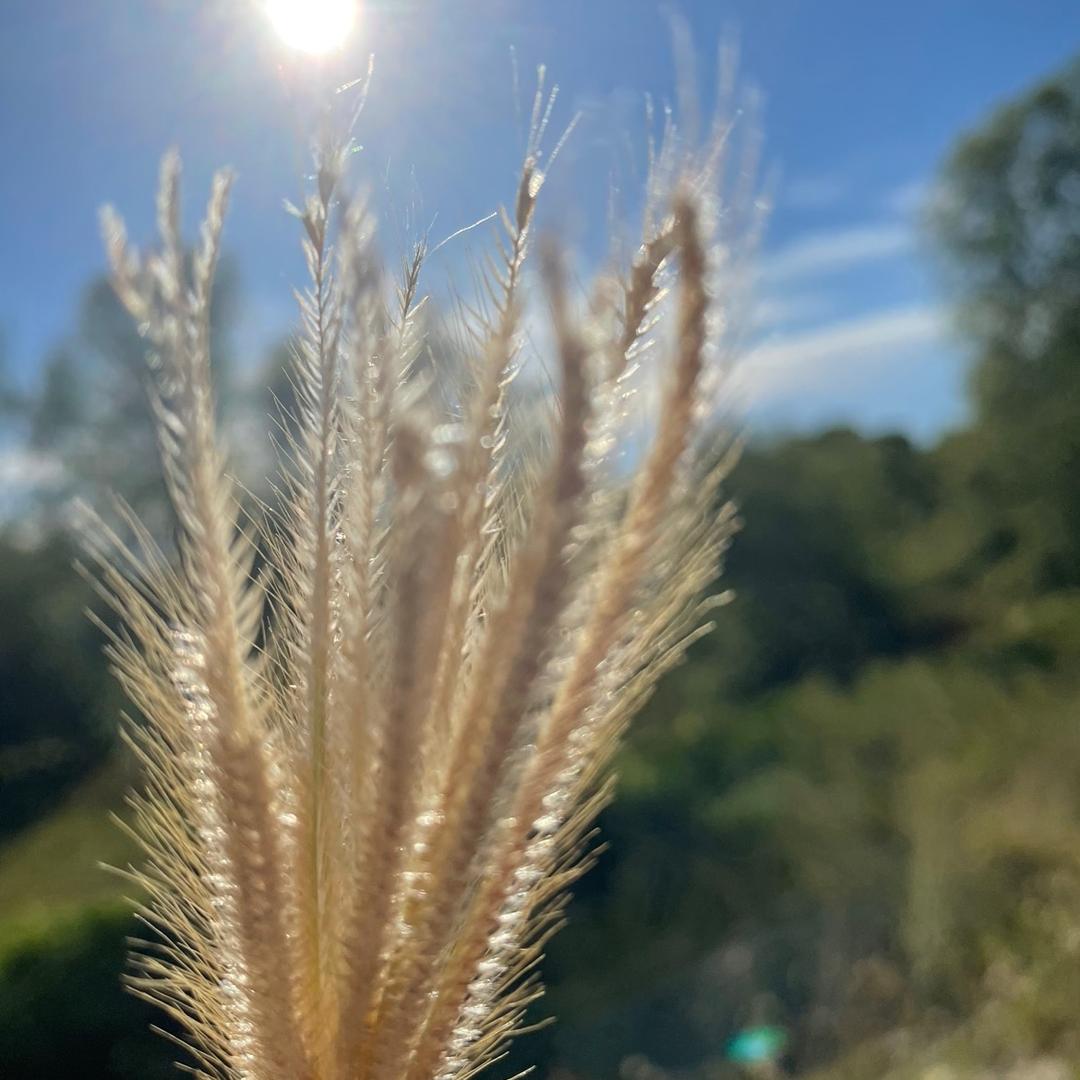 看世界最美风景