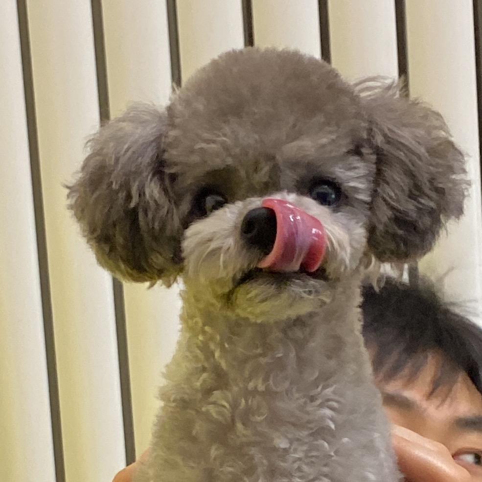 小不点丘丘