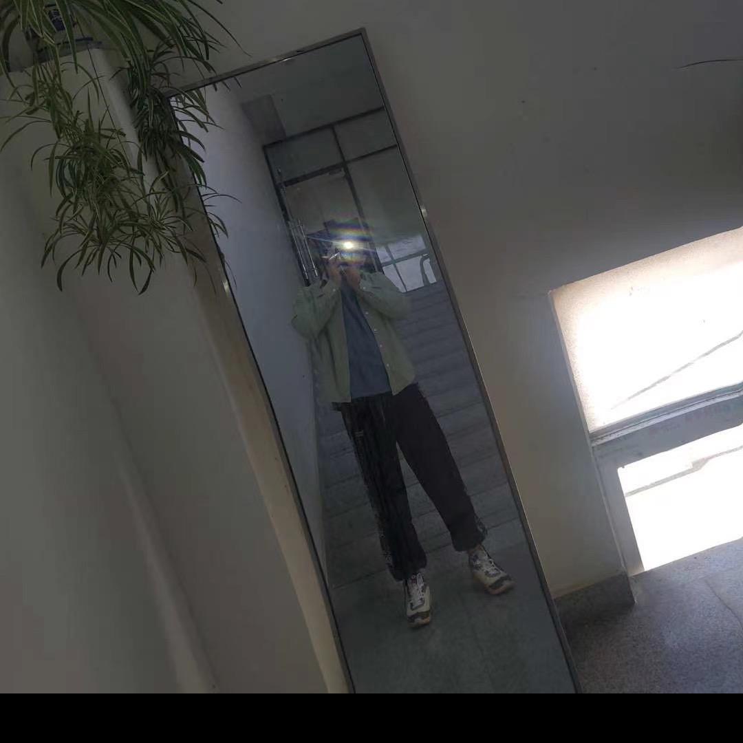 毛绒绒的小杨