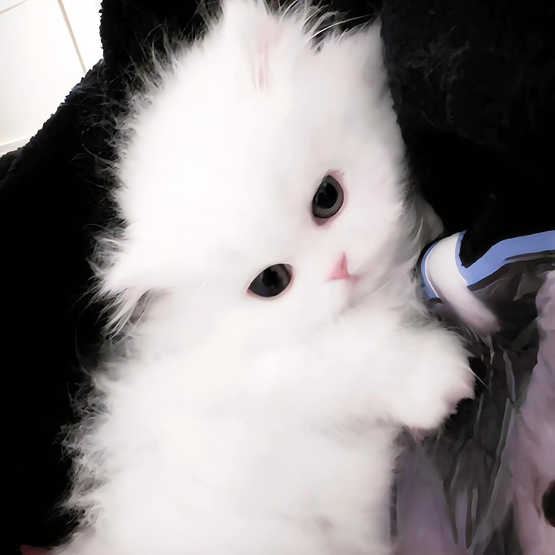 你很来劲阿