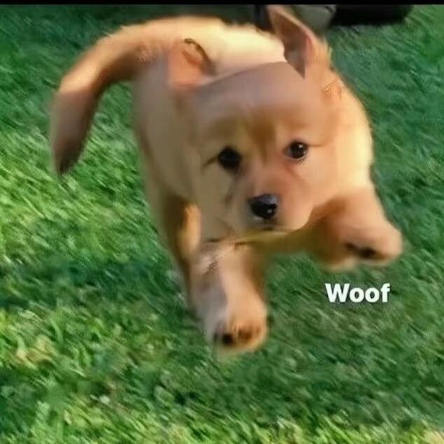 小远