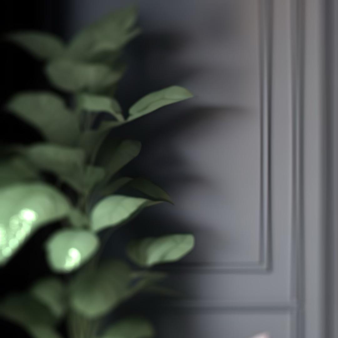 呦呦