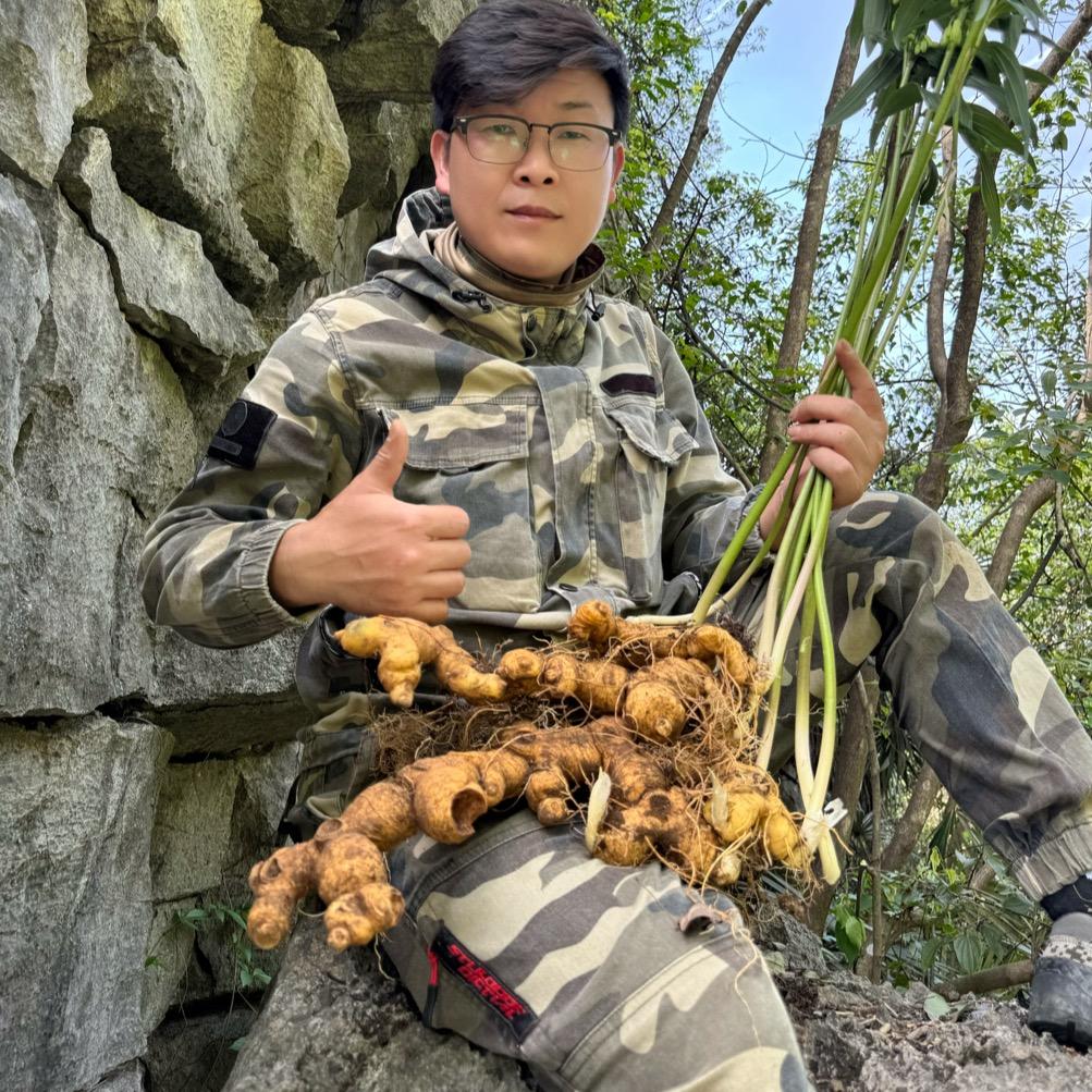 杏林小唐(深山探药)