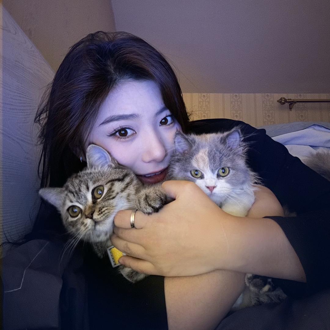 猪蹄蹄