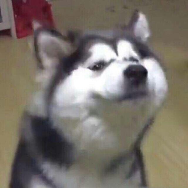千川文化