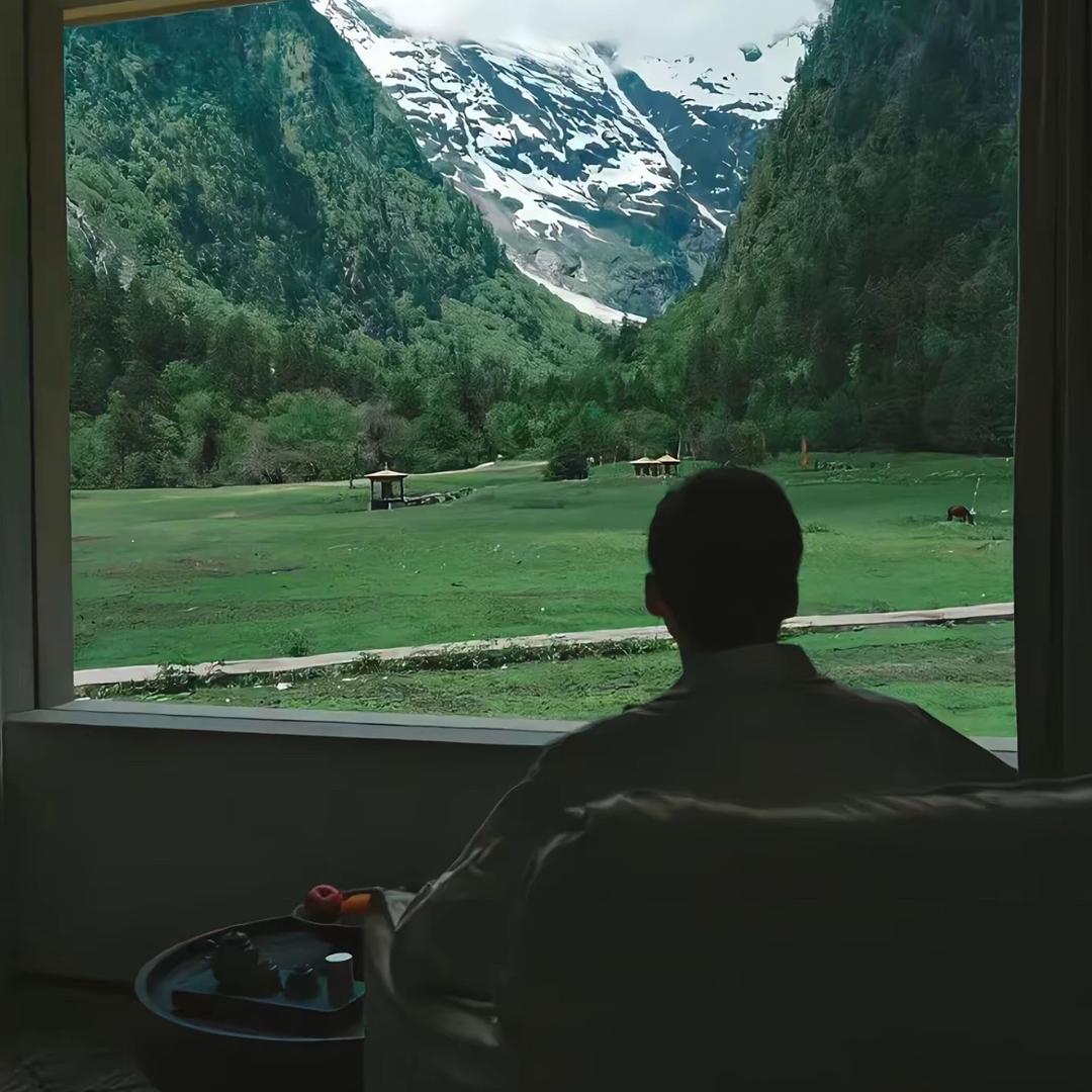 在郑州流浪的小熊