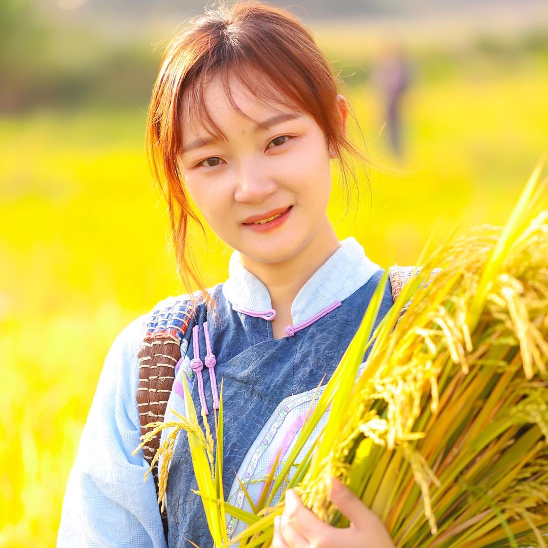 @菊子