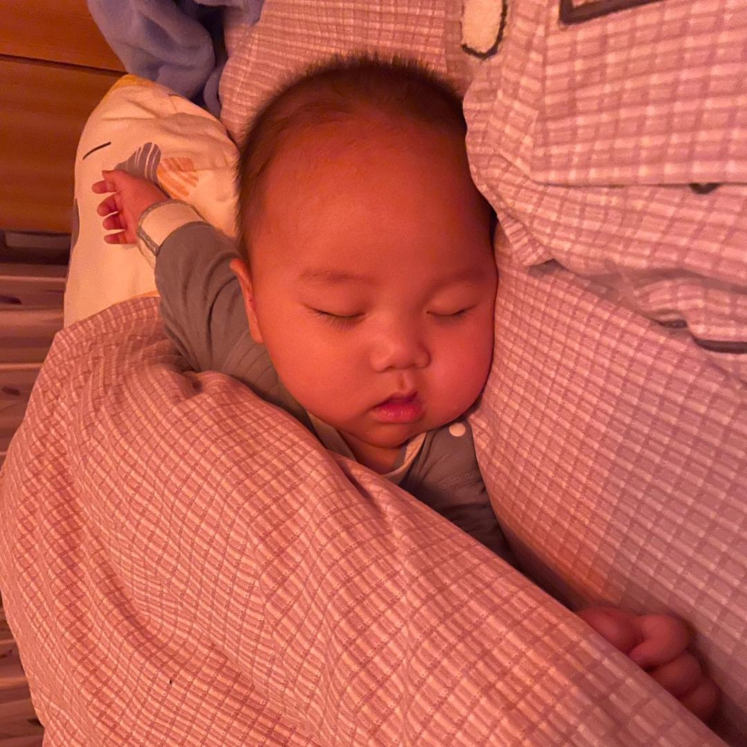 小波比