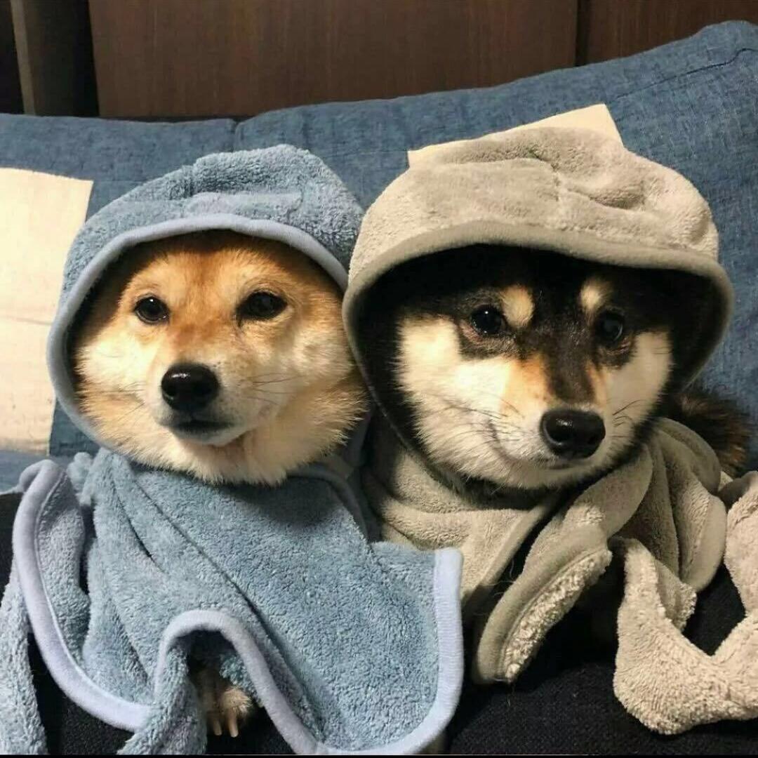 先救我妈了 你在游一会