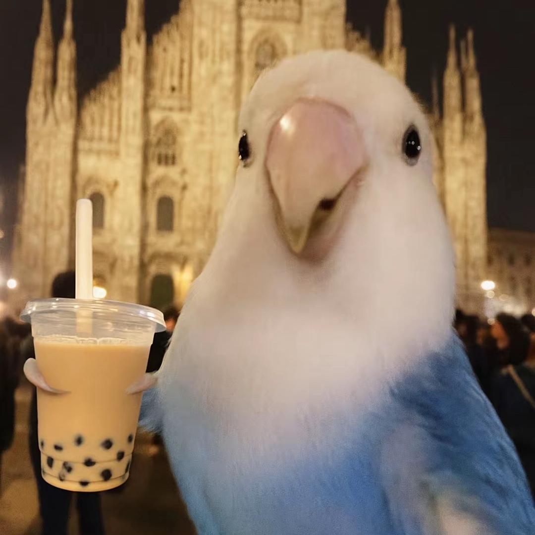 鹤潋