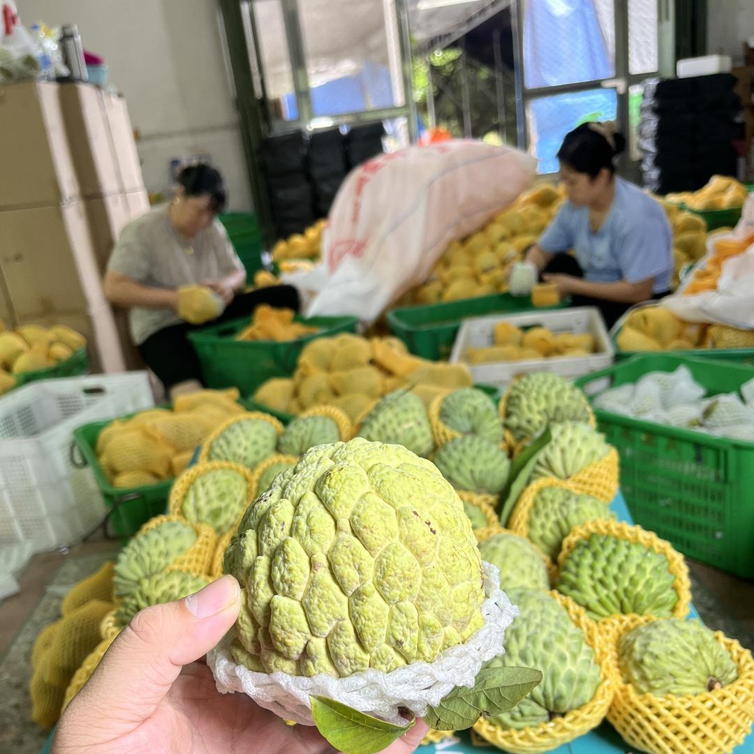 梅汇园生鲜旗舰店