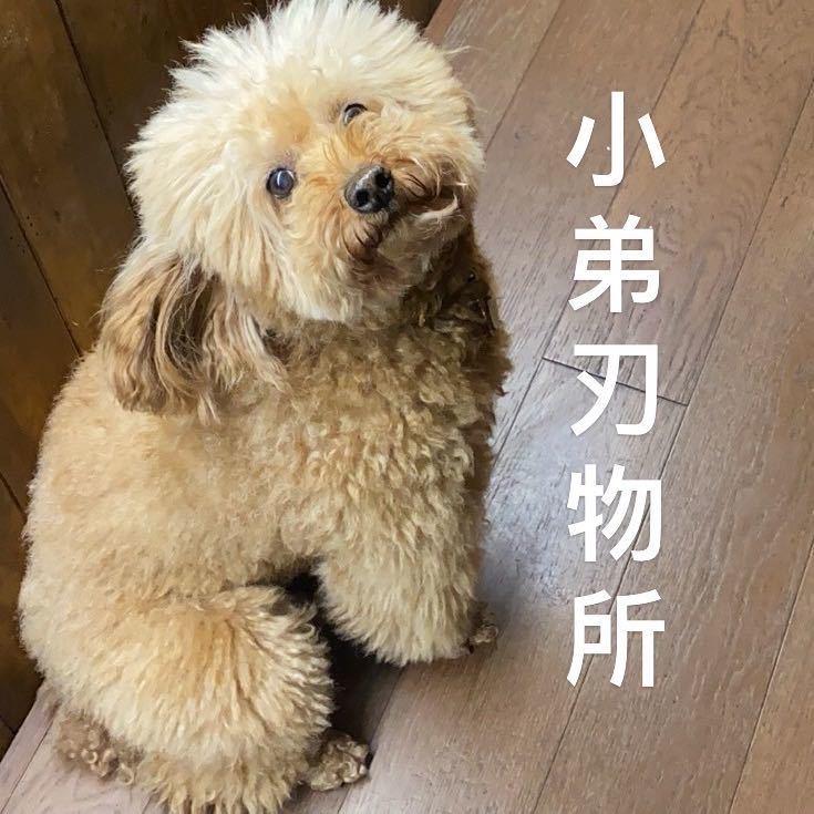 小弟刃物所