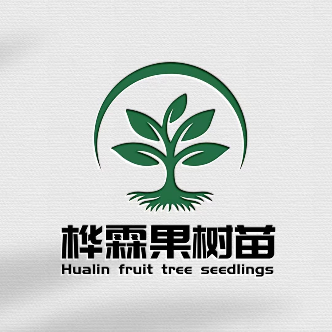 蜜企味桦霖果树苗木专卖店