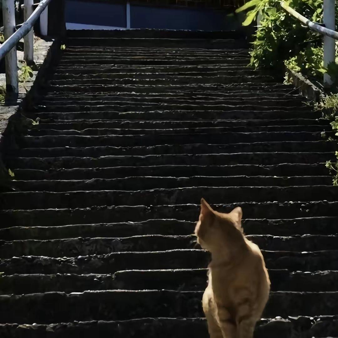 ♈︎✧✧✧♏︎彤