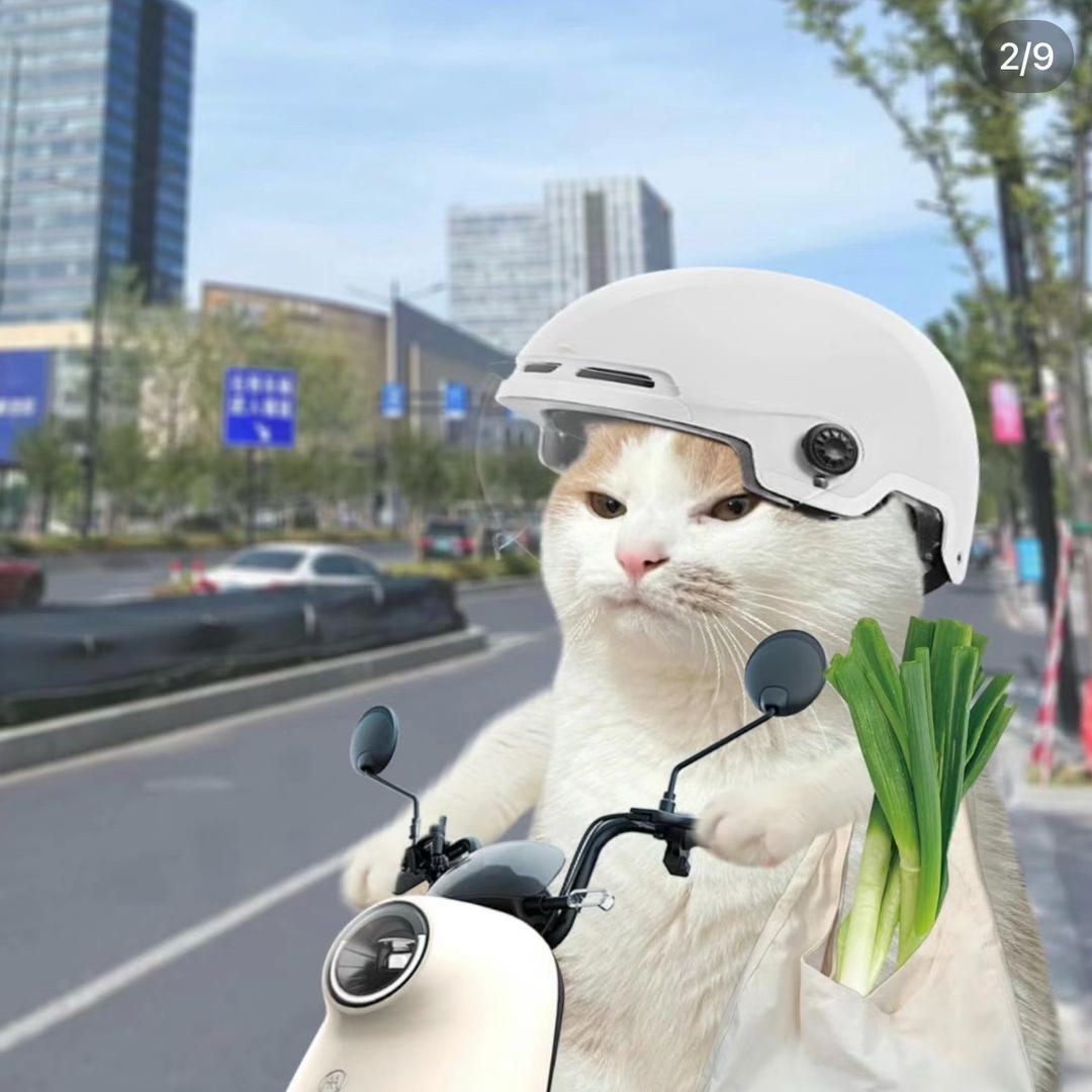 干翻香菜折耳根