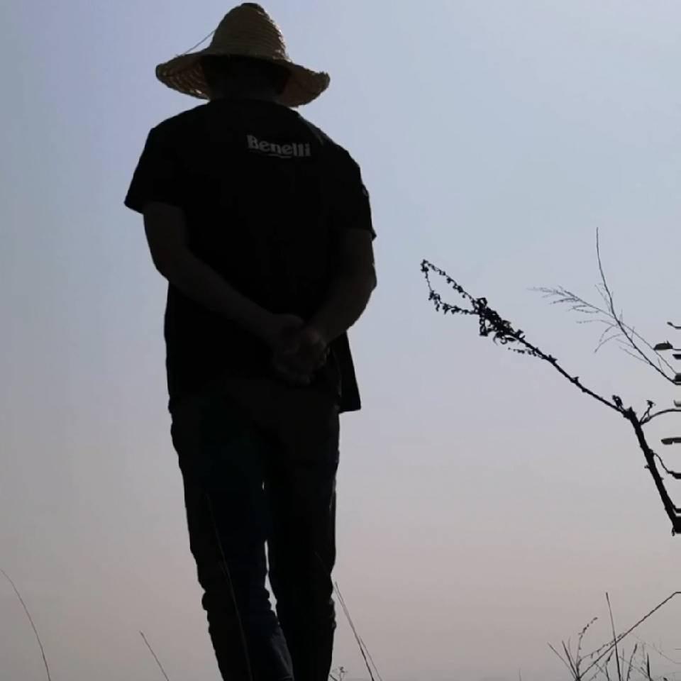 L、