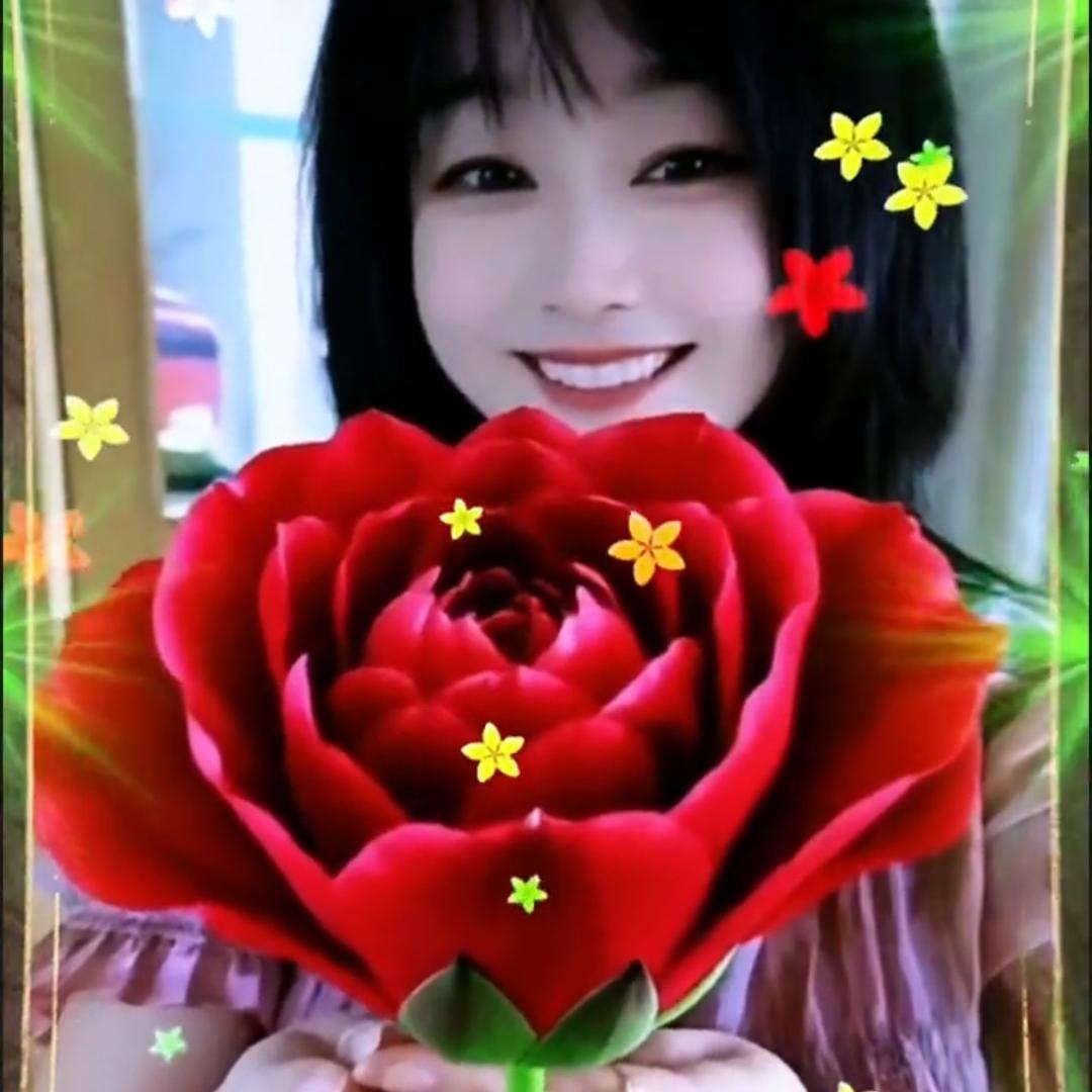 梦醒蔷薇香