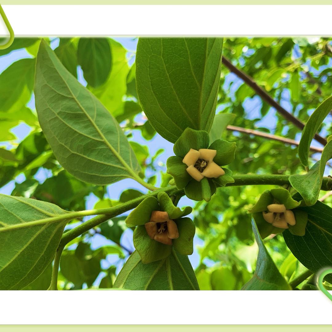 到贤庄镇村幸福食堂