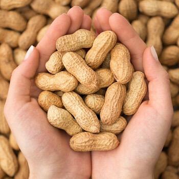 丽丽炒货（花生）🥜