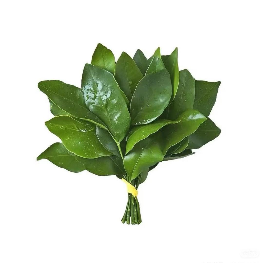 ffovik