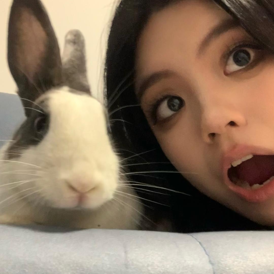大鱼小七