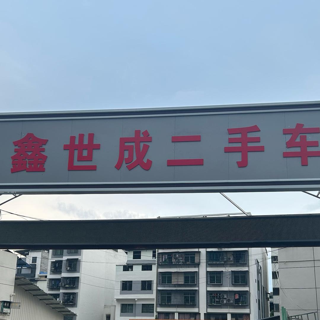 朱哥