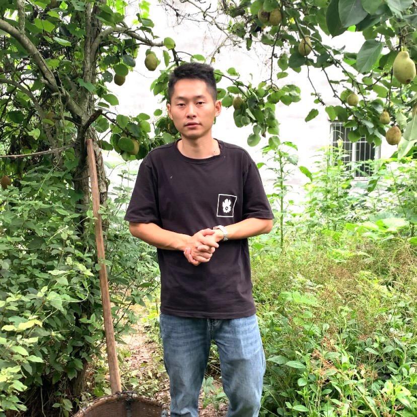菜销销四川土产