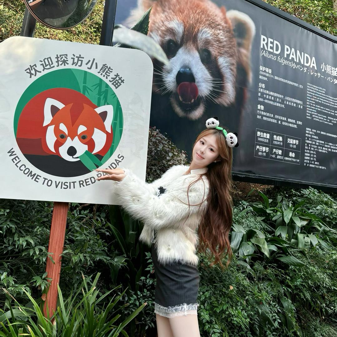 咩咩耶