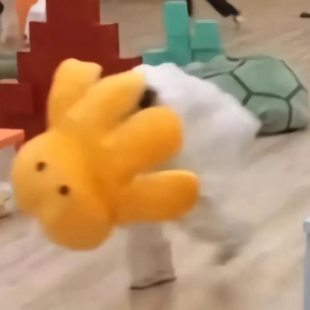 想睡了就睡吧