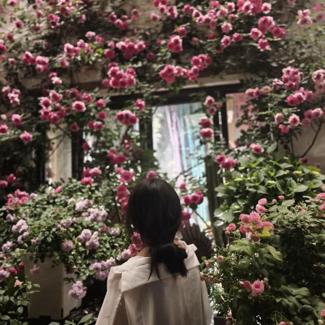 小艳丫，