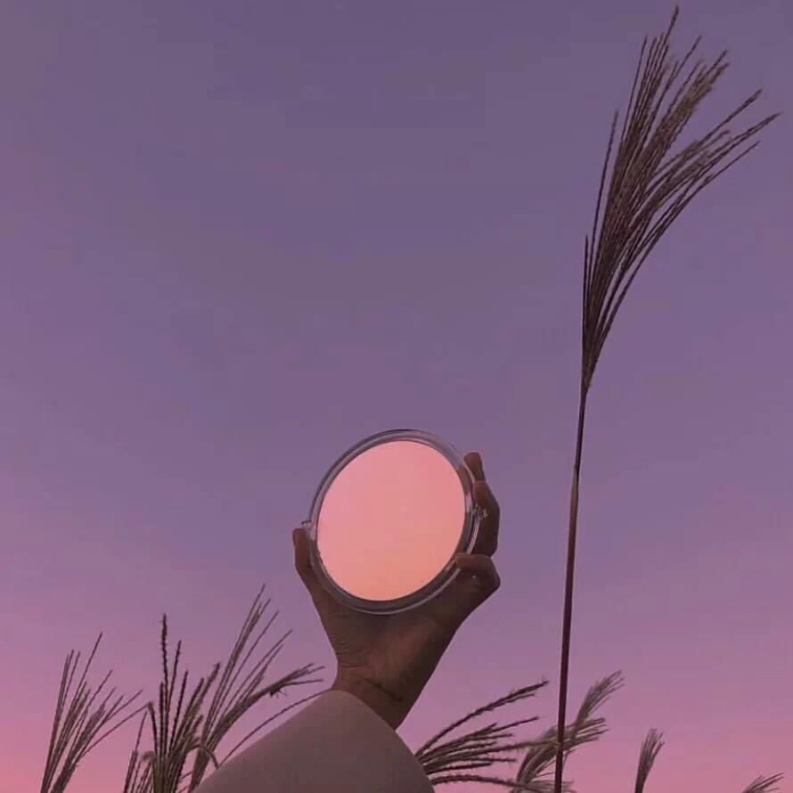 清欢渡