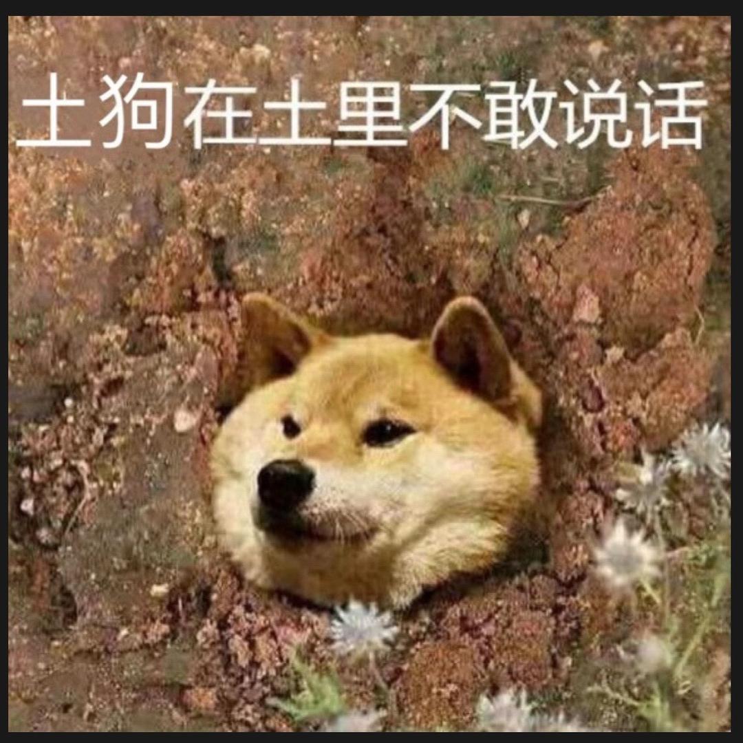 屠狗在土里不敢说话