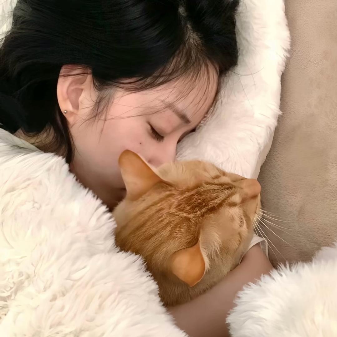 椰椰