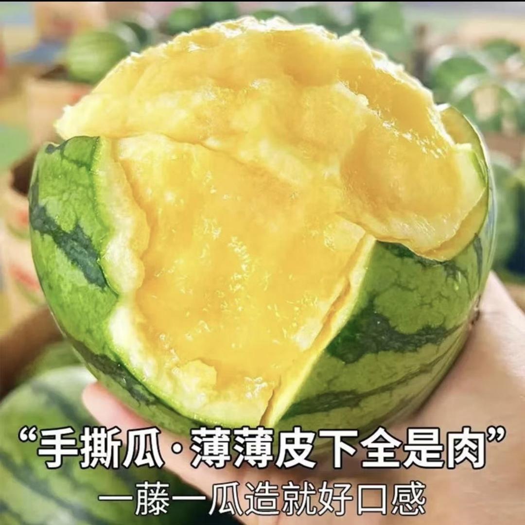 小石榴梅苑