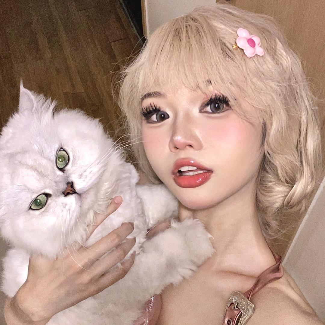 汤汤饭