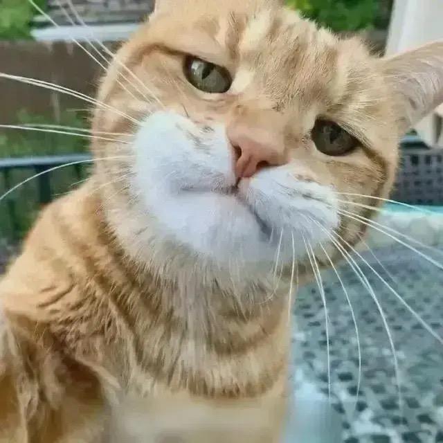 大连仟亿家信息服务