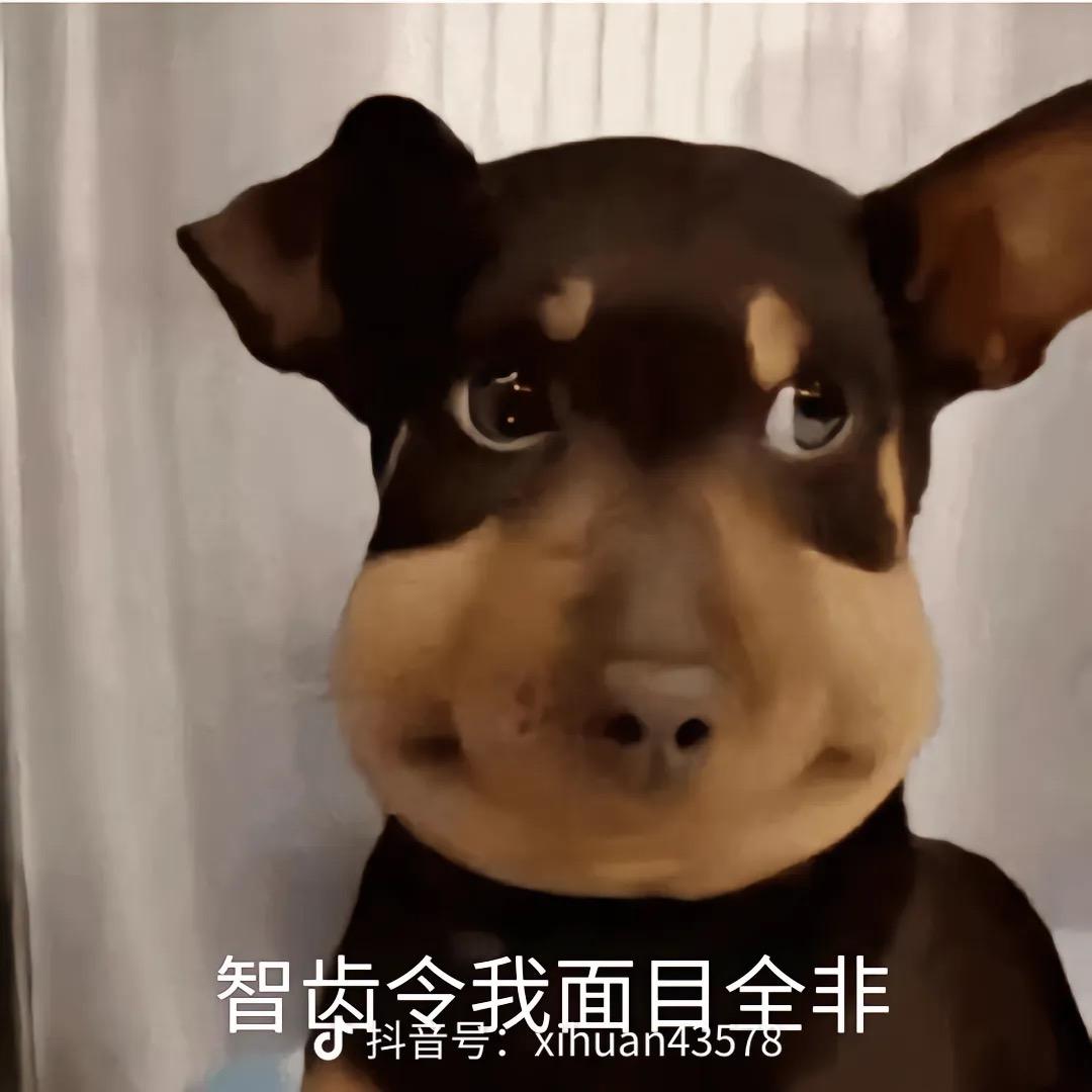 sss，